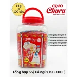 Người nuôi mèo cho mèo ăn Ciao Churu trực tiếp từ thanh súp thưởng