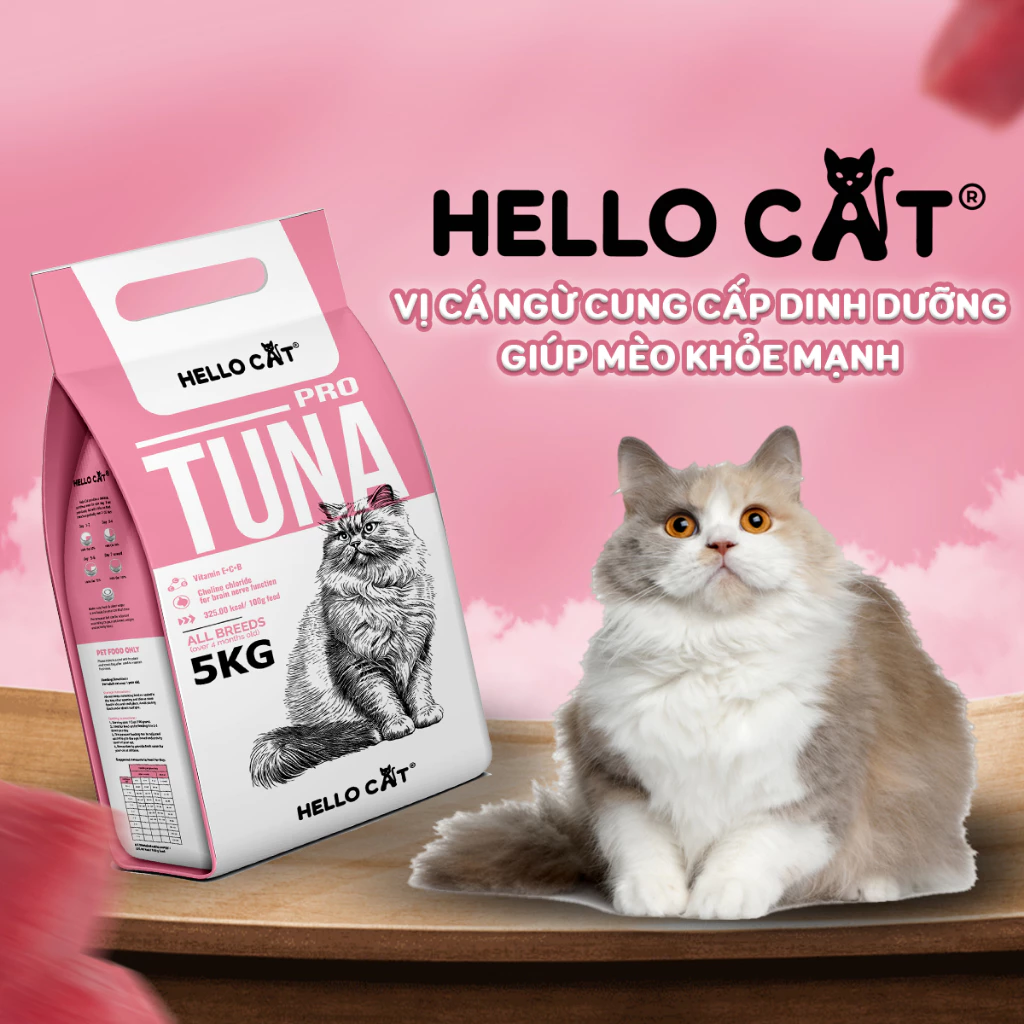 Mèo ăn hạt Hello Cat với bộ lông mềm mượt và khỏe mạnh