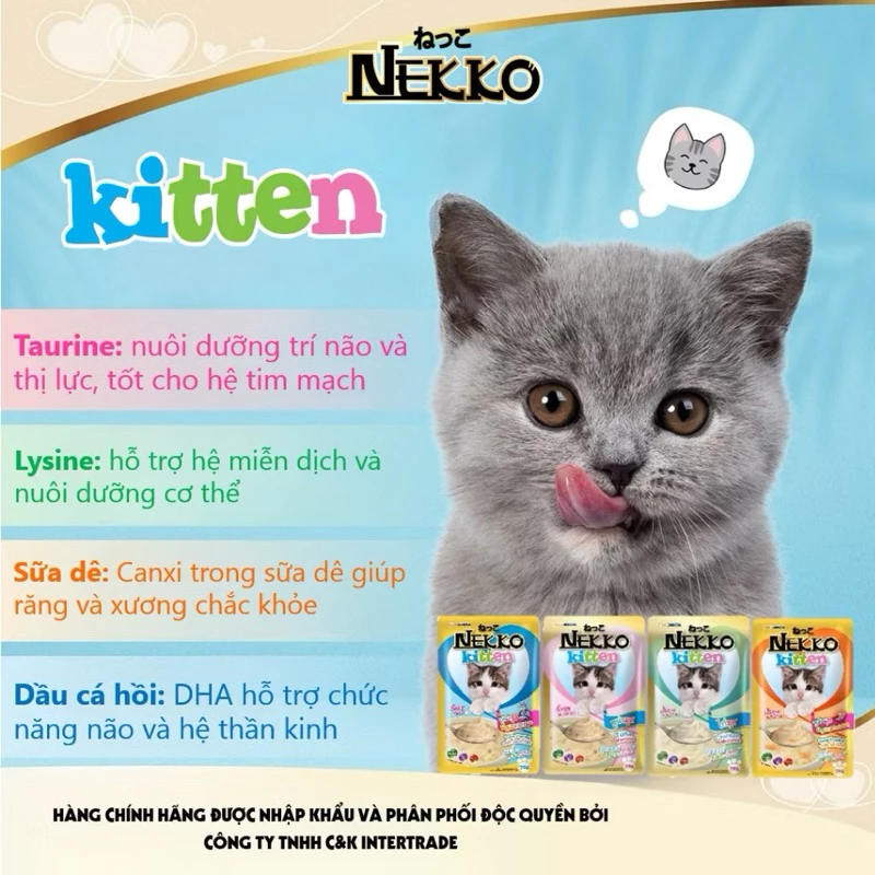 Mèo ăn pate Nekko với biểu cảm thích thú và ngon miệng