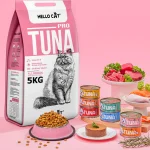 Nhiều mèo ăn hạt Hello Cat trong căn hộ hiện đại