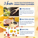 Các vị trái cây của Star Kombucha được trưng bày cùng nguyên liệu tươi